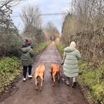 Carly Dyer - @carlydyer18 - Instagram