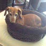 carlyfields - @carly_fields2005 - Instagram