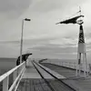 carlygoodwin7 - @carlygoodwin7 - TikTok