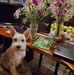 Carla Dellacamera Hacker - Facebook