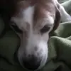 carlyhand - @user43250801 - TikTok