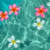 carls 🌺 - @carly_held - TikTok
