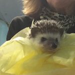 Carly - @_carly_holmes_ - Instagram