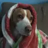 Carly Holmes - @carlyholmes1165 - TikTok