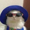 Carly Holmes - @carly_ho - TikTok