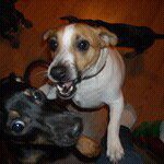 Carlene Knutson - @mammasarge - Instagram