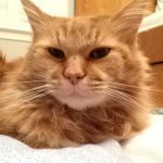 Carly - @carly__marks - Instagram