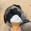 Carly McCarthy - @carly.mccarthy7 - TikTok