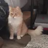 Carly - @carly.mee - TikTok