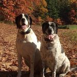 Beth Hester Platt - @carlyplatt - Instagram