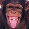 Carlye Pollard - @carlye.pollard - TikTok