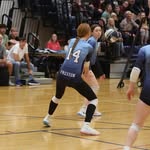 Carly Preston - @carlyprestonvb - Instagram