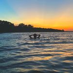 Carly Fisher - @carly___reese - Instagram