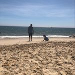 Carly Rees - @buttonmoon25 - Instagram