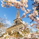 Carla Thurman - @parkdeparis - Instagram