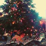 carly welch - @elegant_wrapping_and_design - Instagram