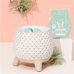 Carly Wells - @carlyscents - Instagram