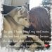 Carly Wolfe - Facebook