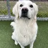 Carly Wright - @carly.wrightt - TikTok