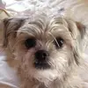 Carly Yeager - @carly.yeager - TikTok
