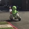 Carlyyy_york - @carlyyy_york - TikTok