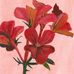 Carmel Brown - Facebook