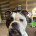Carmel Ann Collins - Facebook