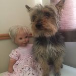 Carmel Collins - @collins_carmel - Instagram
