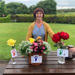 Carmel Collins - @carmelhollyhill - Instagram