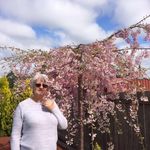 Carmel Collins - @carmel.collins.5473 - Instagram