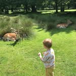 Carmel - @carmelforbes.rnqa - Instagram