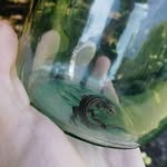 Carmel - @carmelfordcwrmg - Instagram