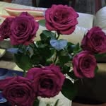 Carmel Grech - @carmel1961 - Instagram