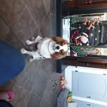 Carmel Harrison - @carmelharrison71 - Instagram