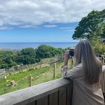 Carmel Harrison - @carmelharrison58 - Instagram