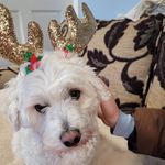 Carmel Higgins - @carmel.higgins.7798 - Instagram