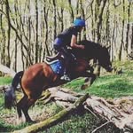 carmel jones - @carmeljones294 - Instagram