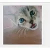 carmeladelaserna - @pretty_us_711 - TikTok
