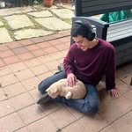 Carmel Levy🪶 - @carmel_story - Instagram