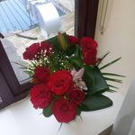 Carmel Lynch - @carmel.lynch.92 - Instagram