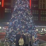 Carmel Lynch - @carmel.lynch.9 - Instagram