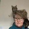 Carmel McCann - @carmel.mccann - TikTok