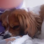 Carmel Murphy - @carmel.murphy.583 - Instagram