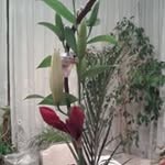 carmela.limazzi - @carmela.limazzi - Instagram