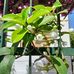 Carmela Mannarino - Facebook