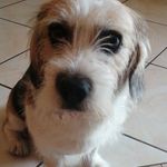 Carmela Moretti - @carmimoretti - Instagram