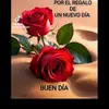 Rosa carmela - @rosacarmela01 - TikTok