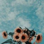 Carmela - @carmelawaters2020 - Instagram