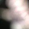 carmella.hoffmann - @carmella.hoffmann - TikTok