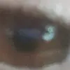 Carmella Jackson - @carmella.jackson3 - TikTok